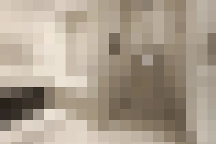  / #17
