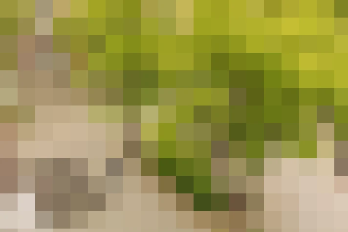 / #14