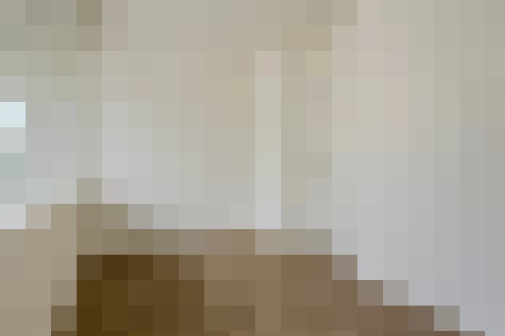  / #19