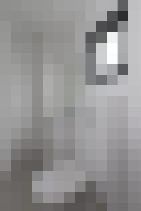  / #24
