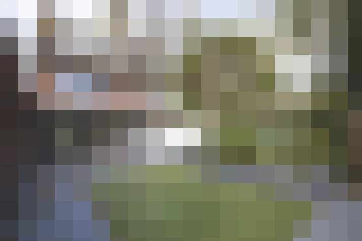  / #17