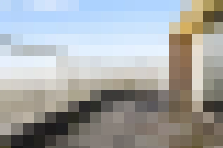  / #17