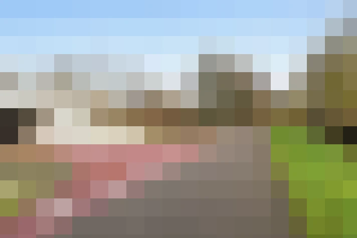  / #20