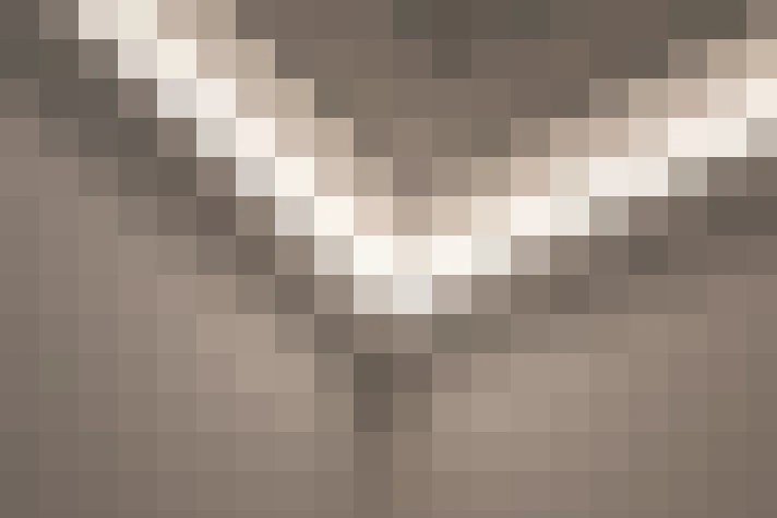  / #15