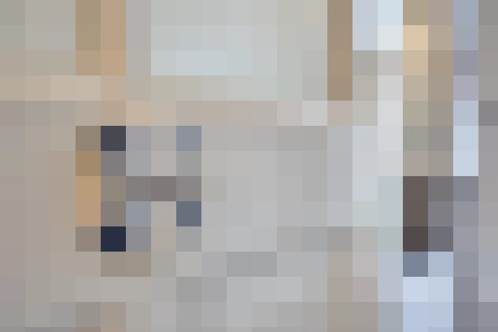  / #15