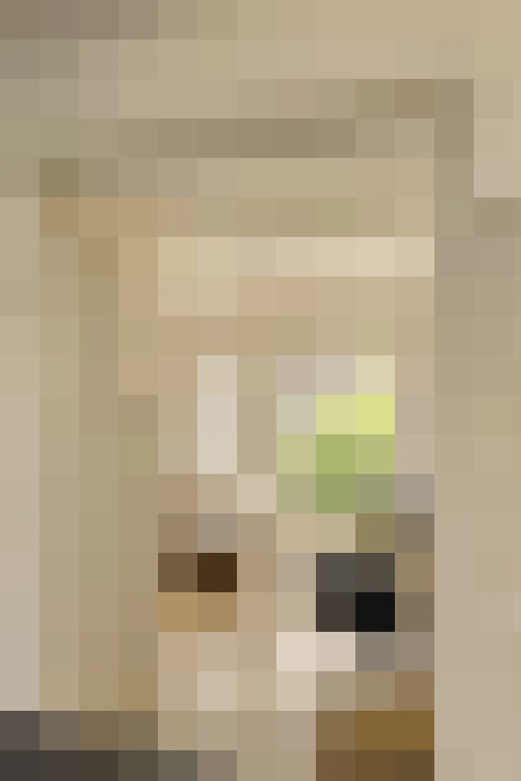  / #14