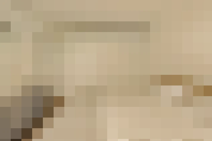  / #20