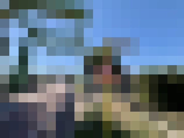  / #22