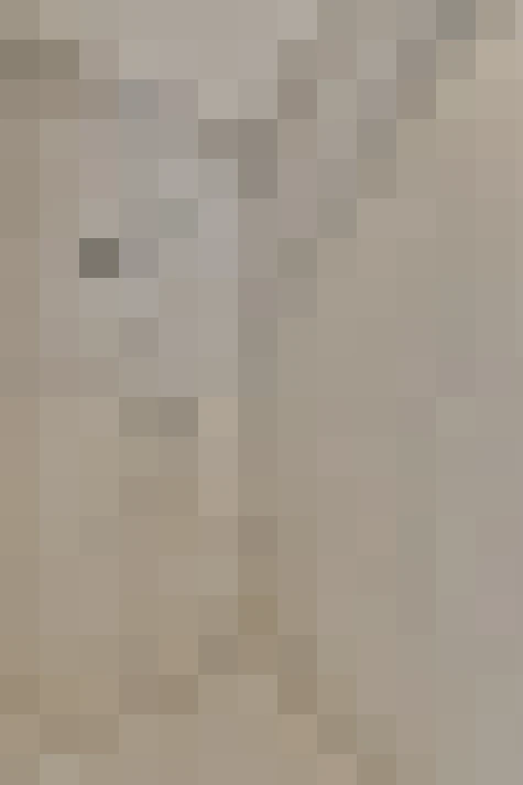  / #24