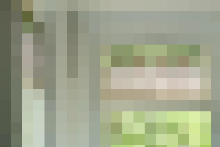  / #17