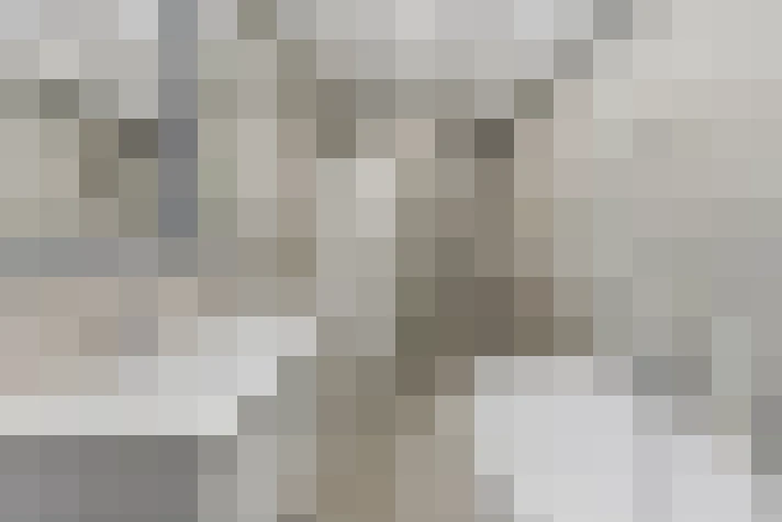  / #17