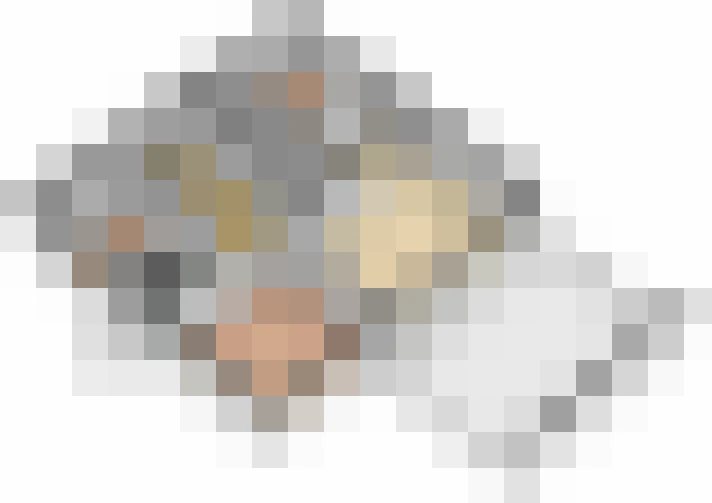 / #20
