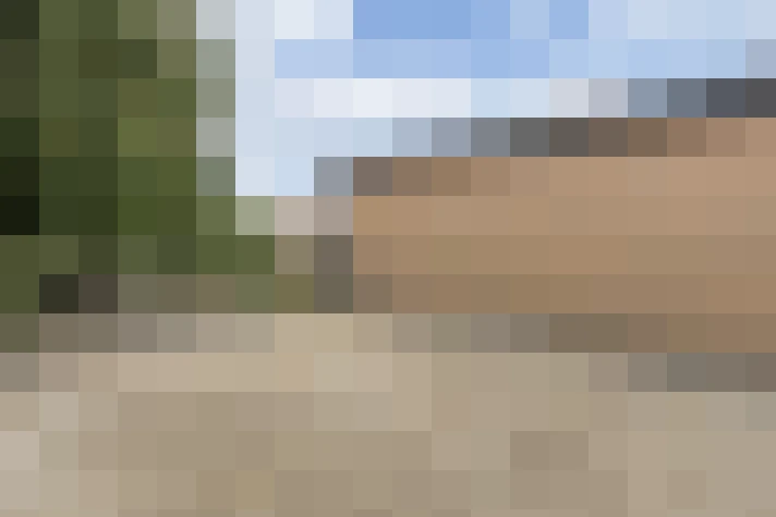  / #15