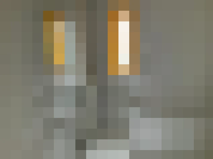  / #11