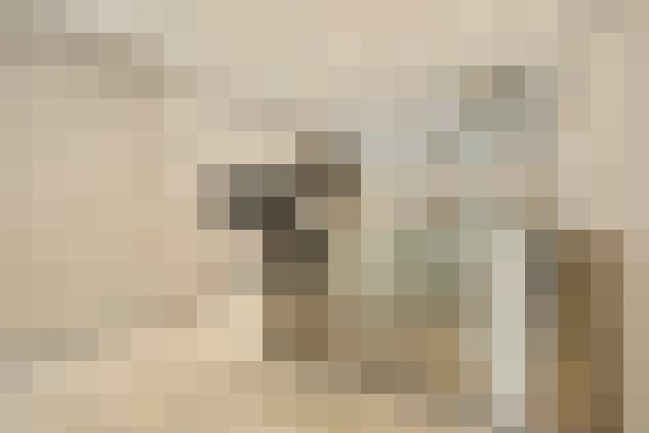  / #30