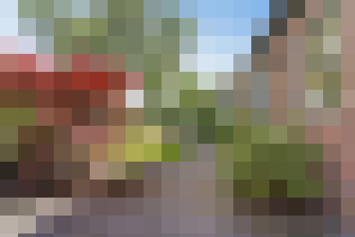  / #13