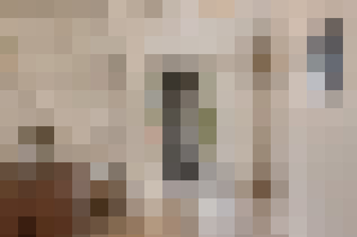  / #11
