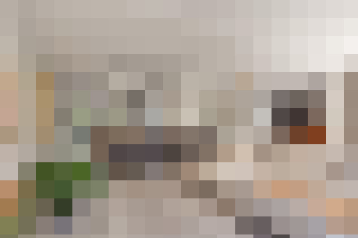  / #15