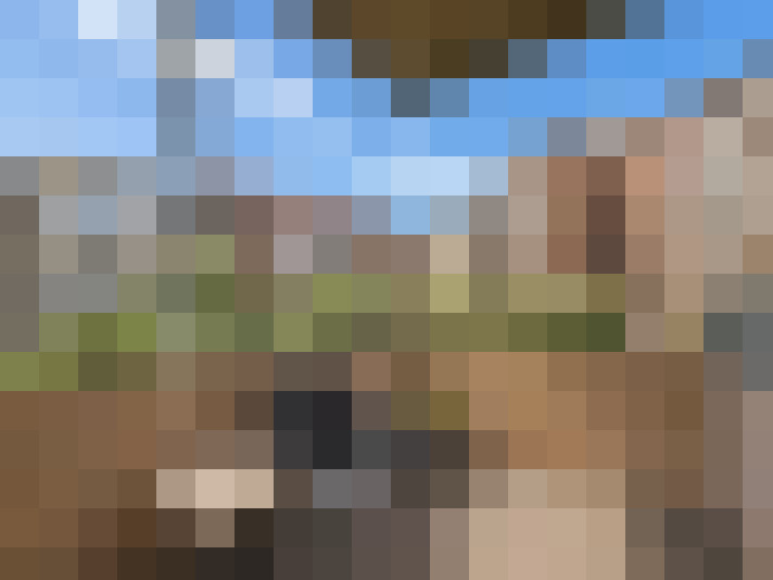  / #7