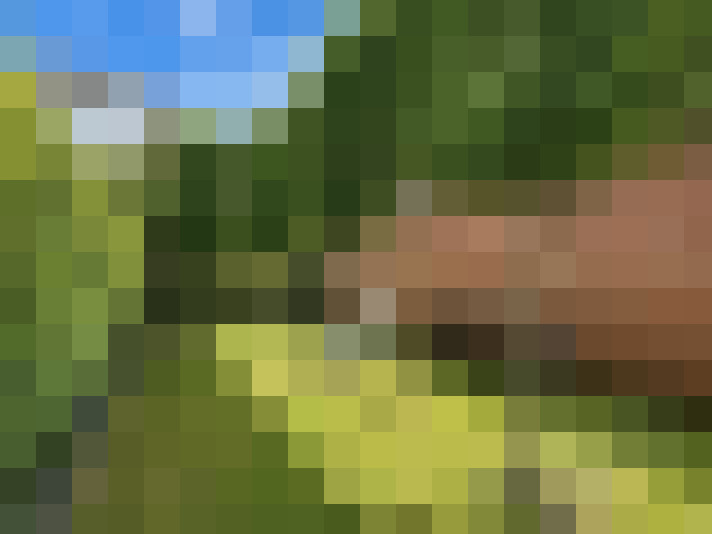  / #13