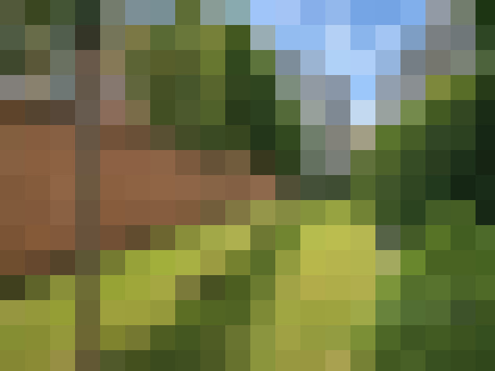  / #14