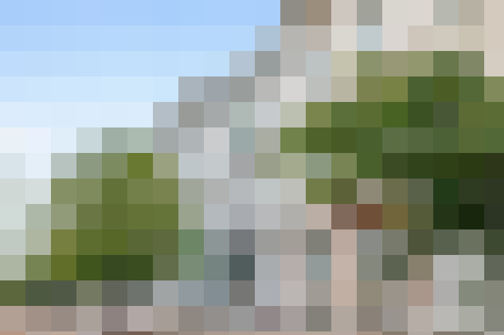  / #14