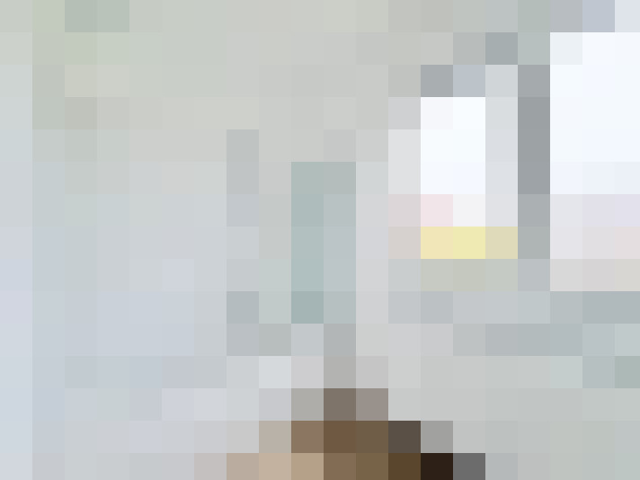  / #15