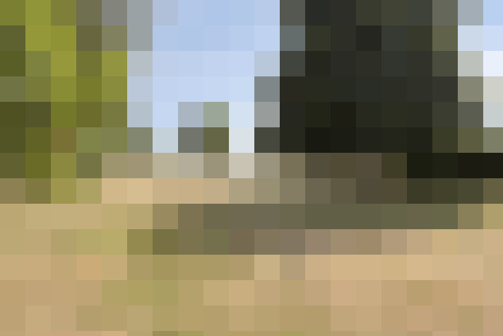  / #16