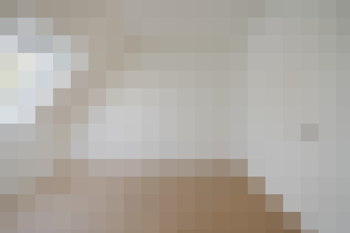  / #18