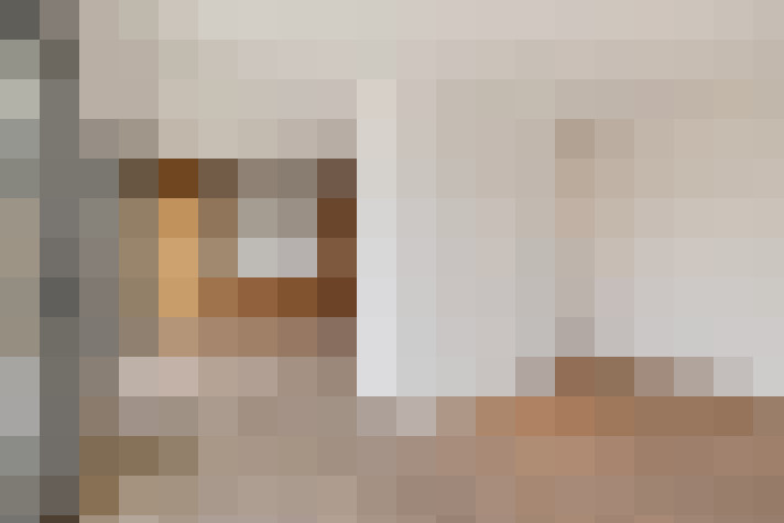  / #24