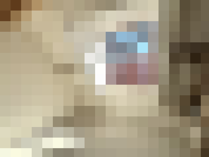  / #9