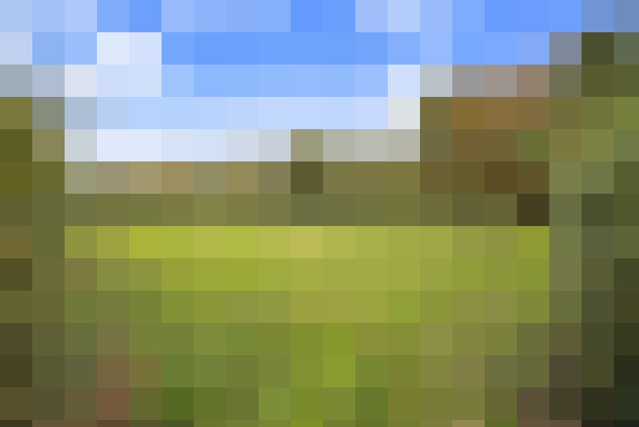  / #15
