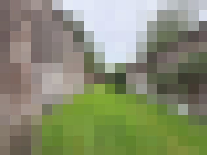  / #15