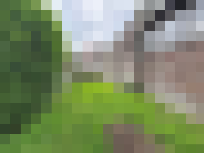  / #16