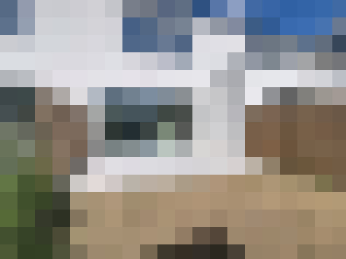  / #17