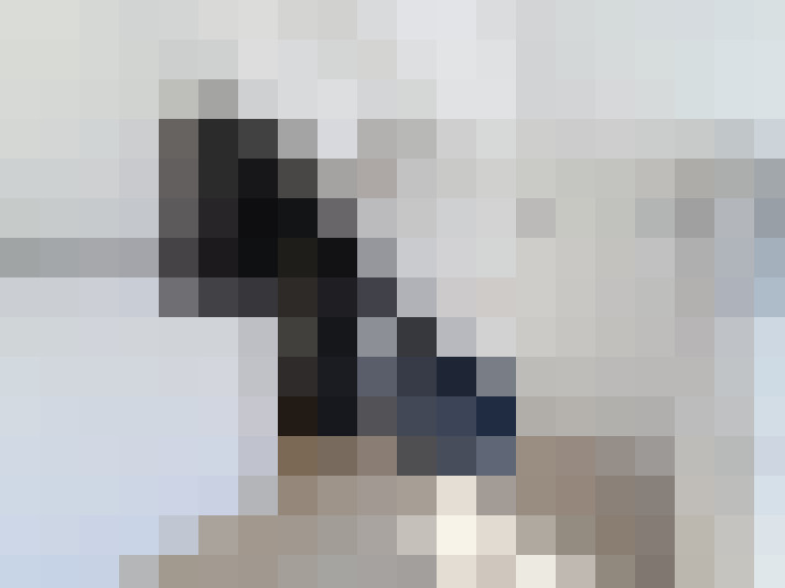  / #15
