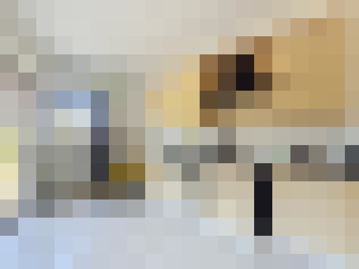  / #16