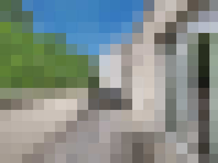  / #13