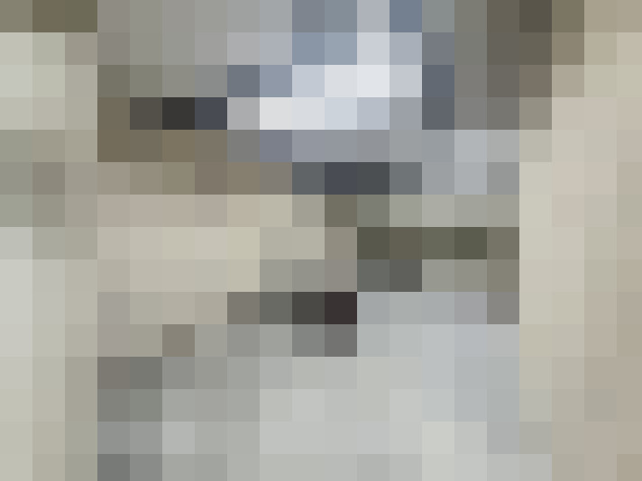  / #15