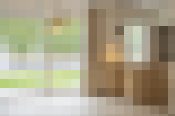  / #6