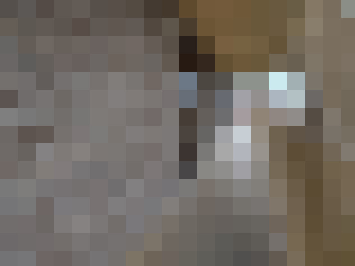  / #23