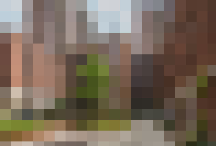 / #19