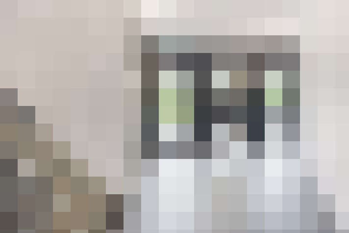  / #21