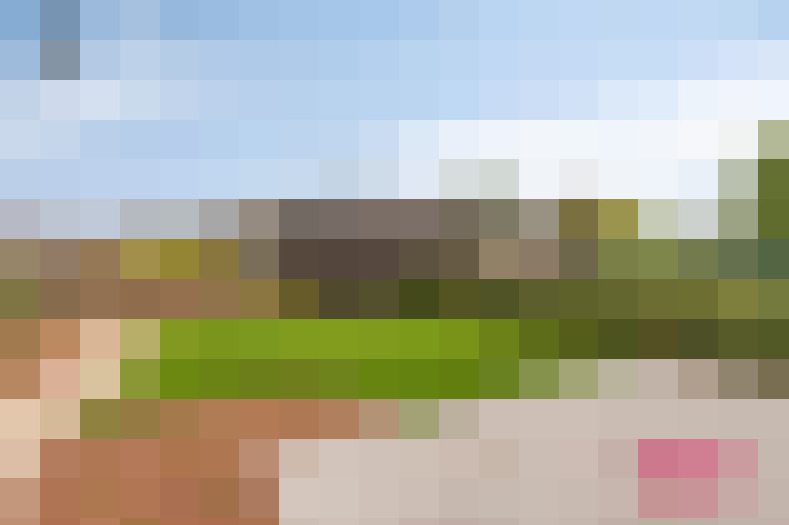  / #18