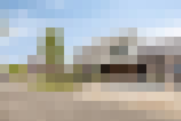  / #19