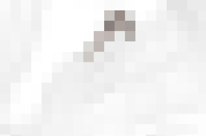  / #24