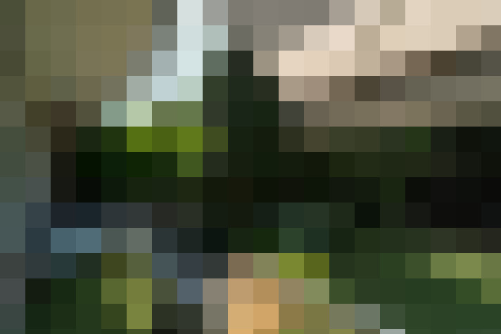  / #7