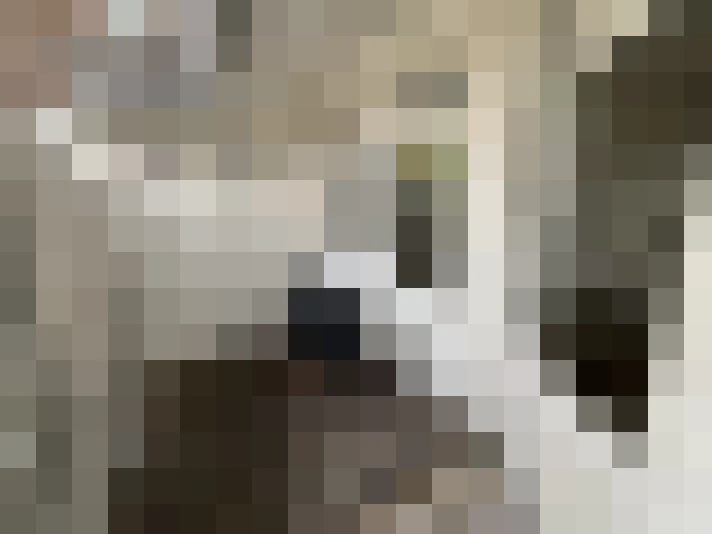  / #15