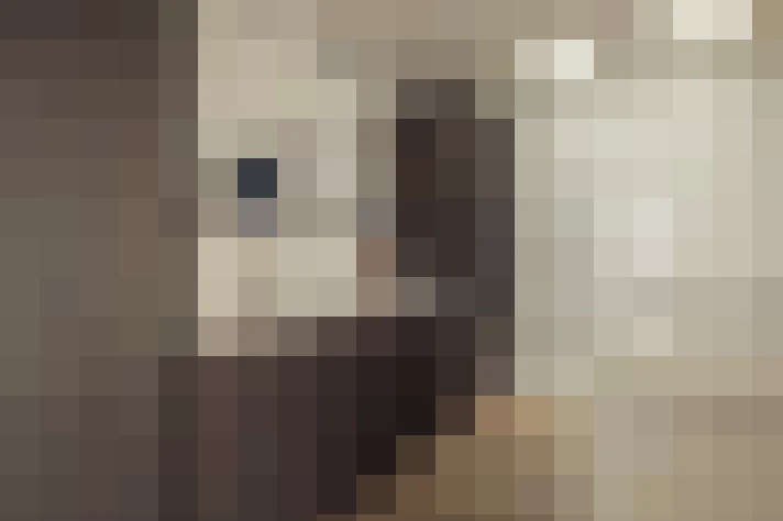  / #19
