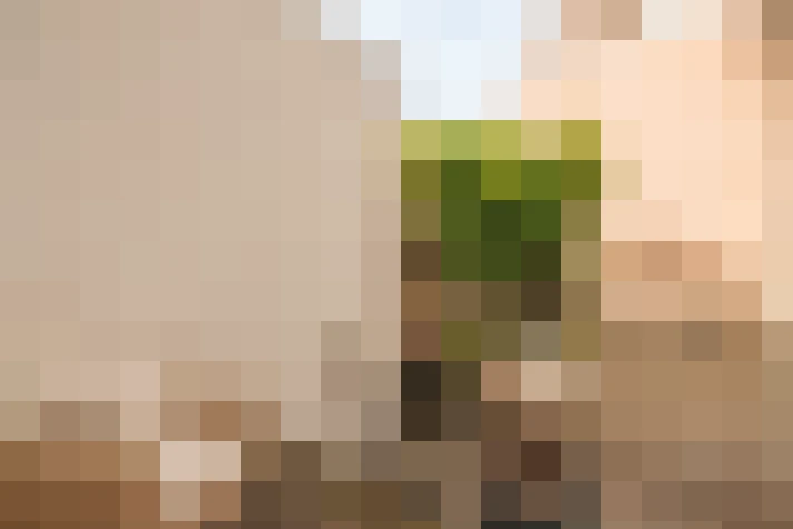  / #18
